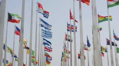 World national flags Video stock 240169237