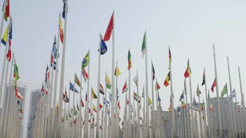 World national flags Video stock 240177134