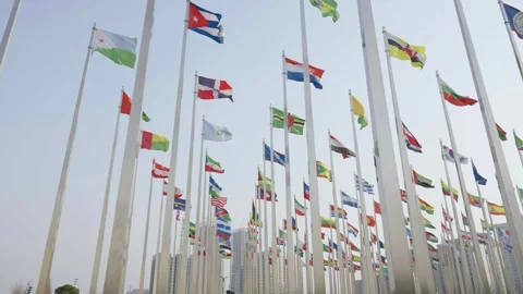 World national flags Video stock 240178608
