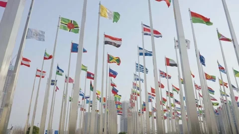 World national flags Video stock 240190194
