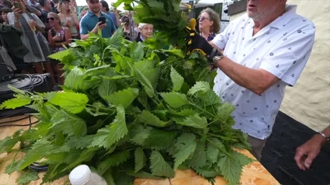 World nettle eating competition takes place in Dorset Video stock 337324583