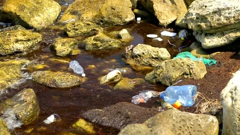 World Ocean Pollution, Garbage in Water Stock Footage 141562790
