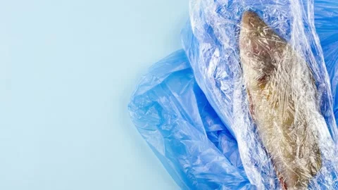 World Oceans Day. Dead fish in a plastic bag, oceans protection concept. Video stock 150153930