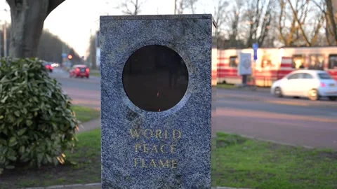 World peace flame Stock Footage 324206643