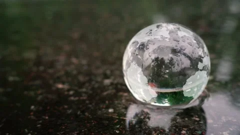 World in a puddle. Stock Footage 156384058