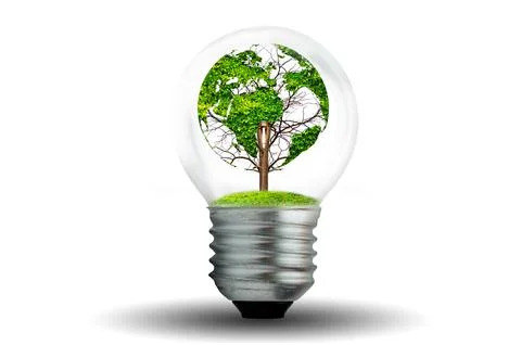 World shaped tree in light bulb concept of environmental conservation and pro Stock Photos