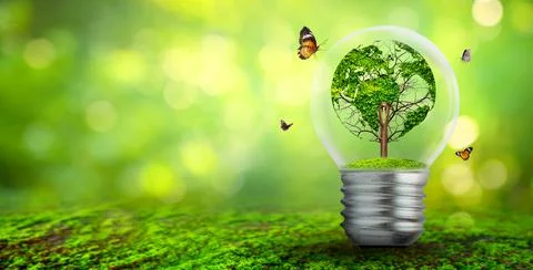 World shaped tree in light bulb concept of environmental conservation and pro Stock Photos