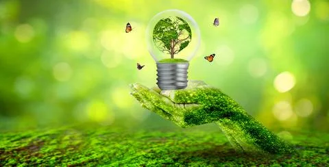 World shaped tree in light bulb concept of environmental conservation and pro Stock Photos