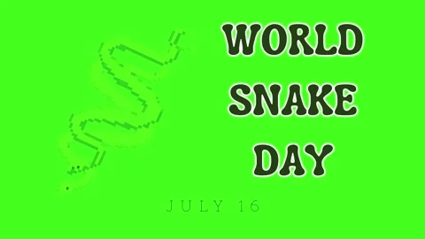 World Snake Day 16th July animation video on green screen Stock Footage 340018593