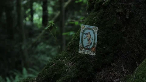 The World Tarot Card Stock Footage 200790489
