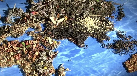 World of Tea - pan left, zoom out Video stock 8828133