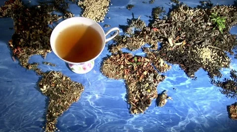 World of Tea - pan left, zoom out Vídeo Stock 8828169