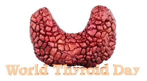 World Thyroid Day concept. 3D rendering Stock Illustration