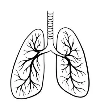 World tuberculosis day. March 24. Template for poster with handdrawn lettering Stock Illustration
