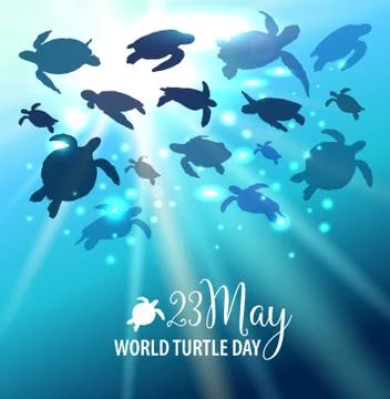 World Turtle Day 23 May background. Turtle swims in the ocean against the bac Stock Illustration