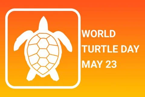 World Turtle Day Illustration