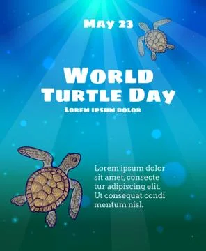 World Turtle Day, May 23 Stock Illustration