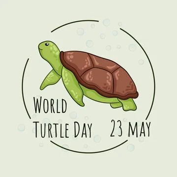 World Turtle Day on May 23. Graphic illustration for poster, banner, social Stock Illustration