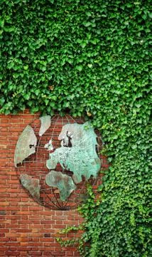 The world under the ivy attack Stock-Fotos