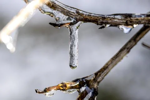 The world is upside down in an icicle Stock Photos