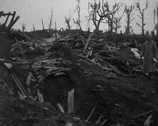 World War 1 - Devastated Landscape Stock Footage