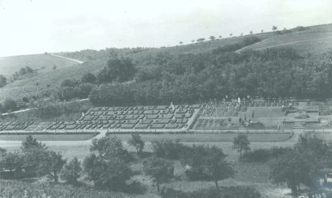 World War 1 – Large war cemetary along a hill Stock Photos