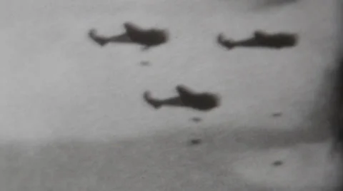 World War 2 - Bombers Stock-Footage 35503269