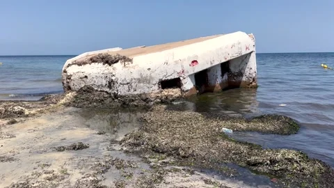 World War 2 German Bunker Tunisia. Stock Footage 313273155