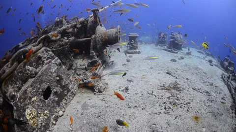 World war 2 shipwreck - SS Thistlegorm - 25fps Stock Footage 38424907