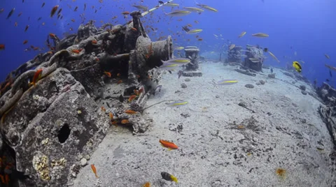 World war 2 shipwreck - SS Thistlegorm - 29.97fps Stock Footage 38433637