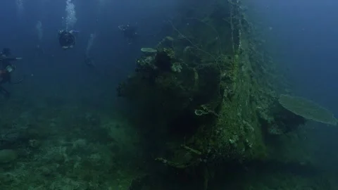 World War 2 Shipwreck visited by Scuba divers, under water shot, Palau Vídeo Stock 334131350