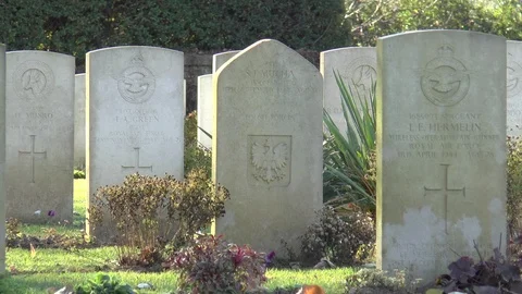 World War 2 War Graves Stock Footage 100772915