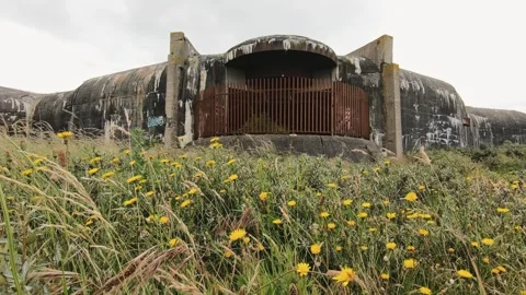 A World War II defensive structure amid wildflowers on the Normandy coast Stock Footage 284792663