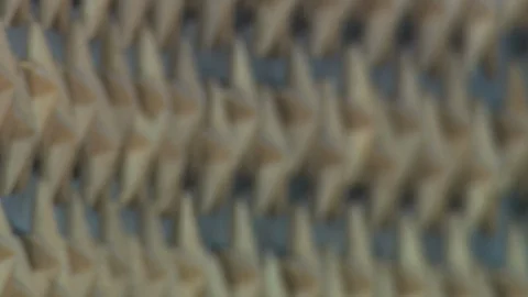 World War II Memorial Stock Footage 123934822