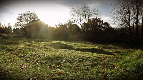 World War One battlefield : hanheld shot Hill 60 landscape Stock Footage 89879375