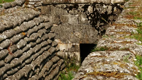 World war one battlefields on Western front : Trench of Death , Belgium Stock Footage 107511134