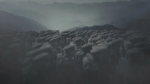 World War One British Troops Standing in a Battlefield Stock Footage 118990205