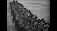World War One Cavalry Soldiers Practice Horsemanship In 1917. Stock Footage