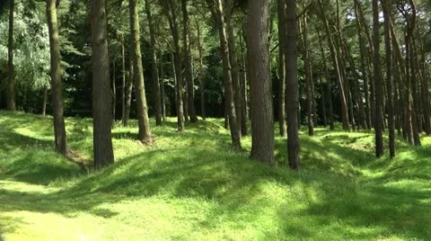 World War One Vimy Ridge Trench Lines 動画素材 12426168