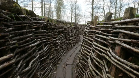 World war one on Western Front : trench warfare gimbal shot at Bayernwald Stock Footage 105955084