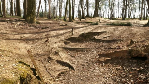 World war one on Western Front : trench warfare gimbal shot at Sanctuary Wood Stock Footage 105959479