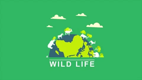 World wildlife day Stock Footage 265601547