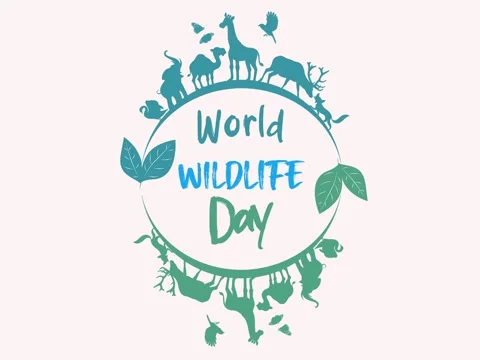 World wildlife day2 Stock Footage 233659040