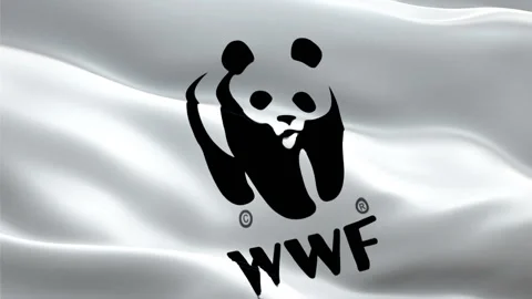 World Wildlife Fund Stock Video Footage | Royalty Free World Wildlife Fund  Videos | Pond5