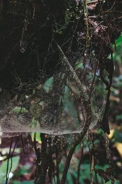 A World within a World Stock Photos