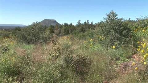 WorldClips-Apache Landscape-ws Stock-Footage 8916961