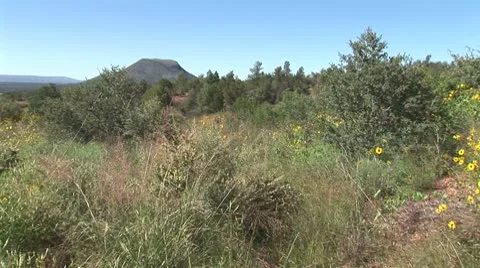 WorldClips-Apache Landscape-ws-zooms Video stock 8916959