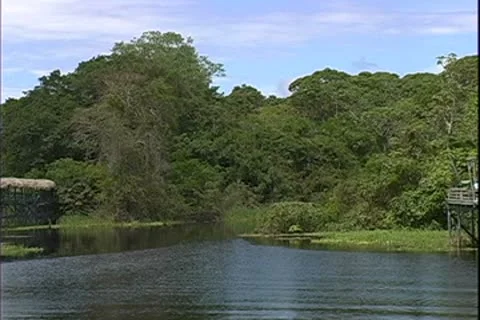 WorldClips-Ariau Jungle Entrance-zoom Stock Footage