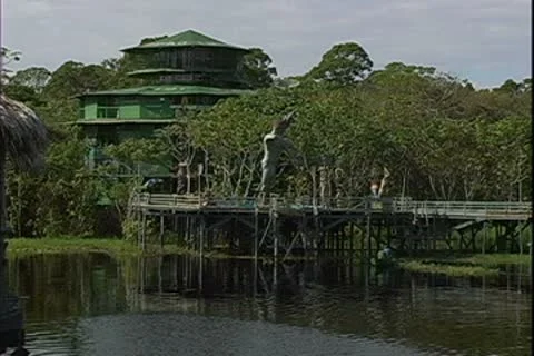 WorldClips-Ariau Lodge & Boat-ws-zoom Stock Footage