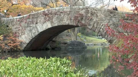 WorldClips-Central Park Bridge in Fall-zoom Stock Footage 8928581